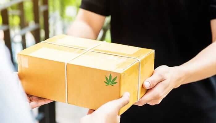 Buying Marijuana in Thailand Now