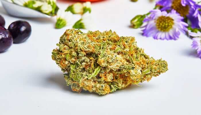 a big bud of cannabis