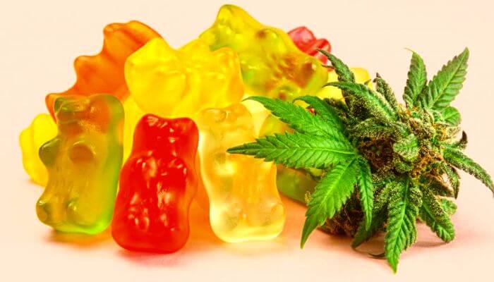 Gummy bears and cannabis flower 
How Long Do Edibles Last in Urine