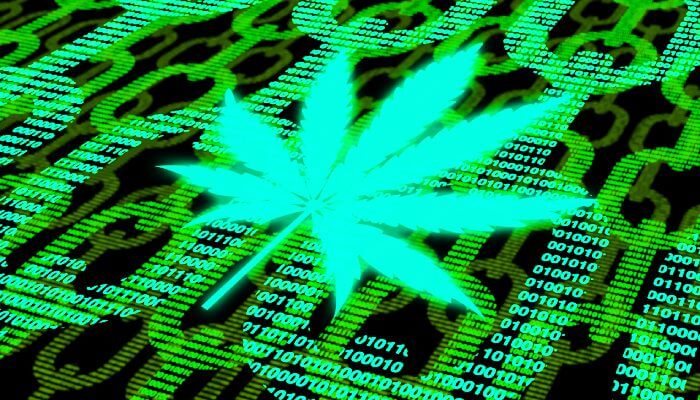 Blockchain technology and cannabis traceability 